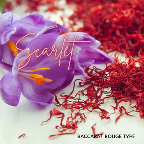 SCARLET BODY BUTTER & WHIPPED SCRUB