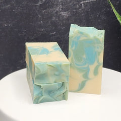 CACTUS + SEA SALT | BAR SOAP