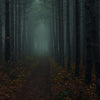 FOGGY CREEK CANDLE