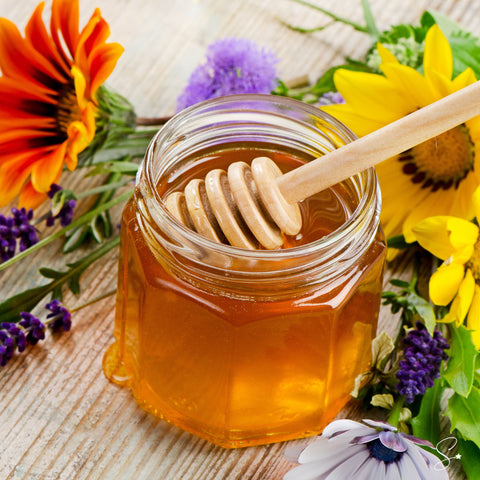 MOUNTAIN HONEY COCONUT SOY CANDLE - COMING SOON