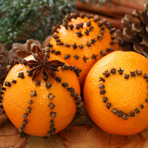 PEPPERCORN POMANDER COCONUT SOY CANDLE - COMING SOON