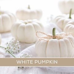 WHITE PUMPKIN WAX MELT