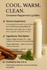 Handcrafted All‑Natural Lip Balm Coconut Oil Beeswax Cinnamon Peppermint 4  Pack