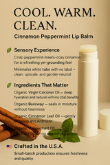 Handcrafted All‑Natural Lip Balm Coconut Oil Beeswax Cinnamon Peppermint 1 Pc